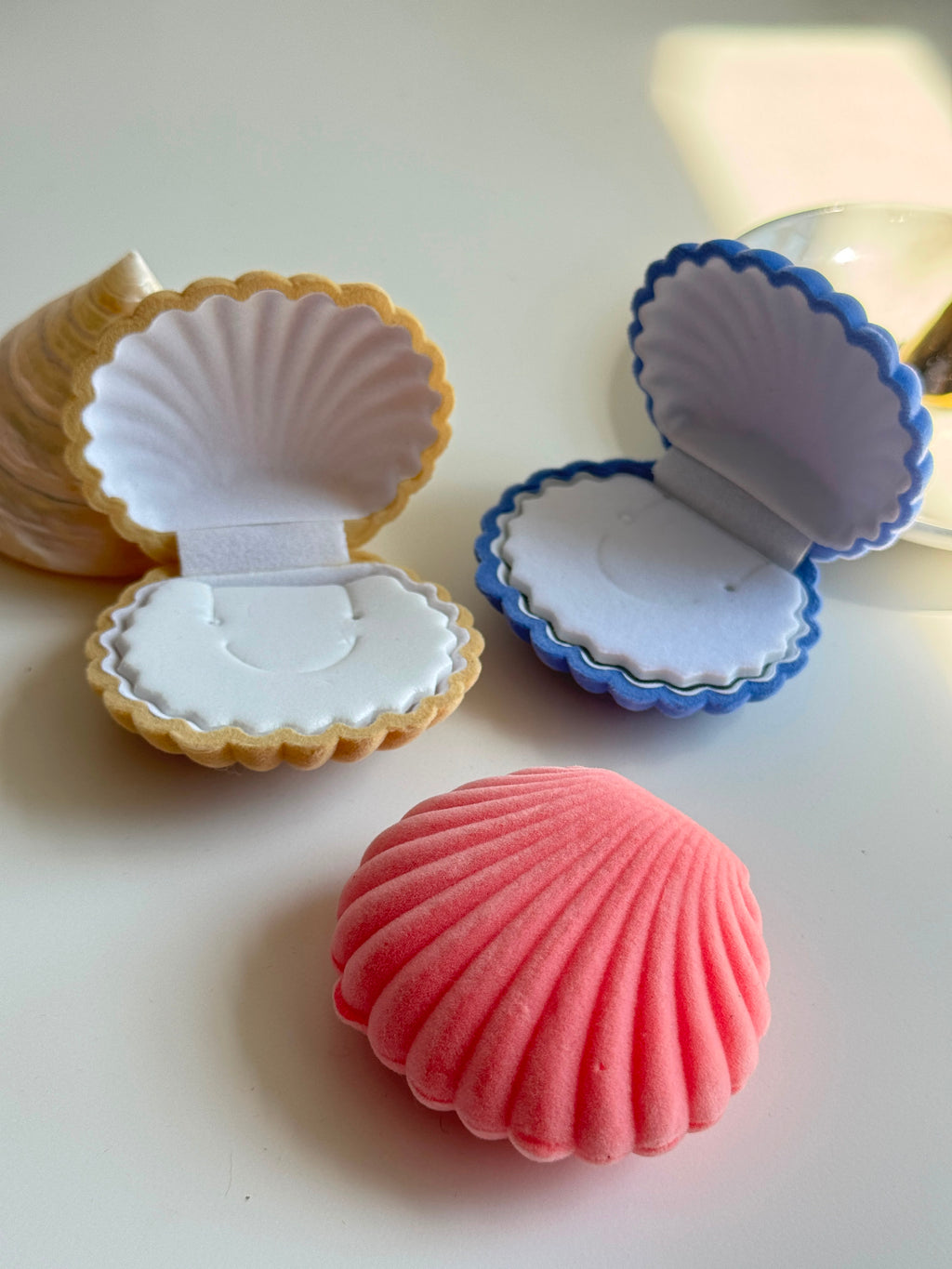Seashell velvet Jewelry Box