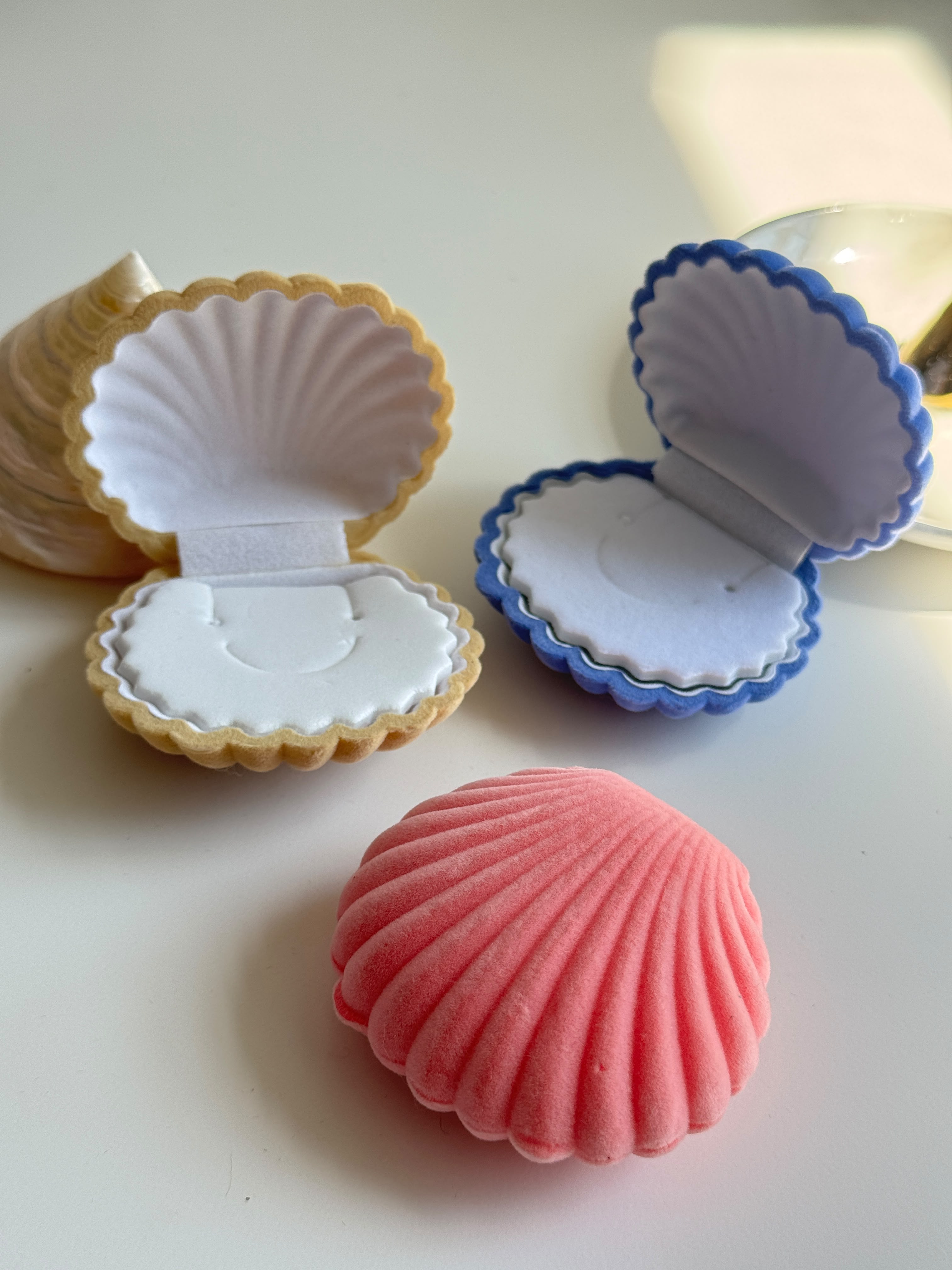 Seashell velvet Jewelry Box