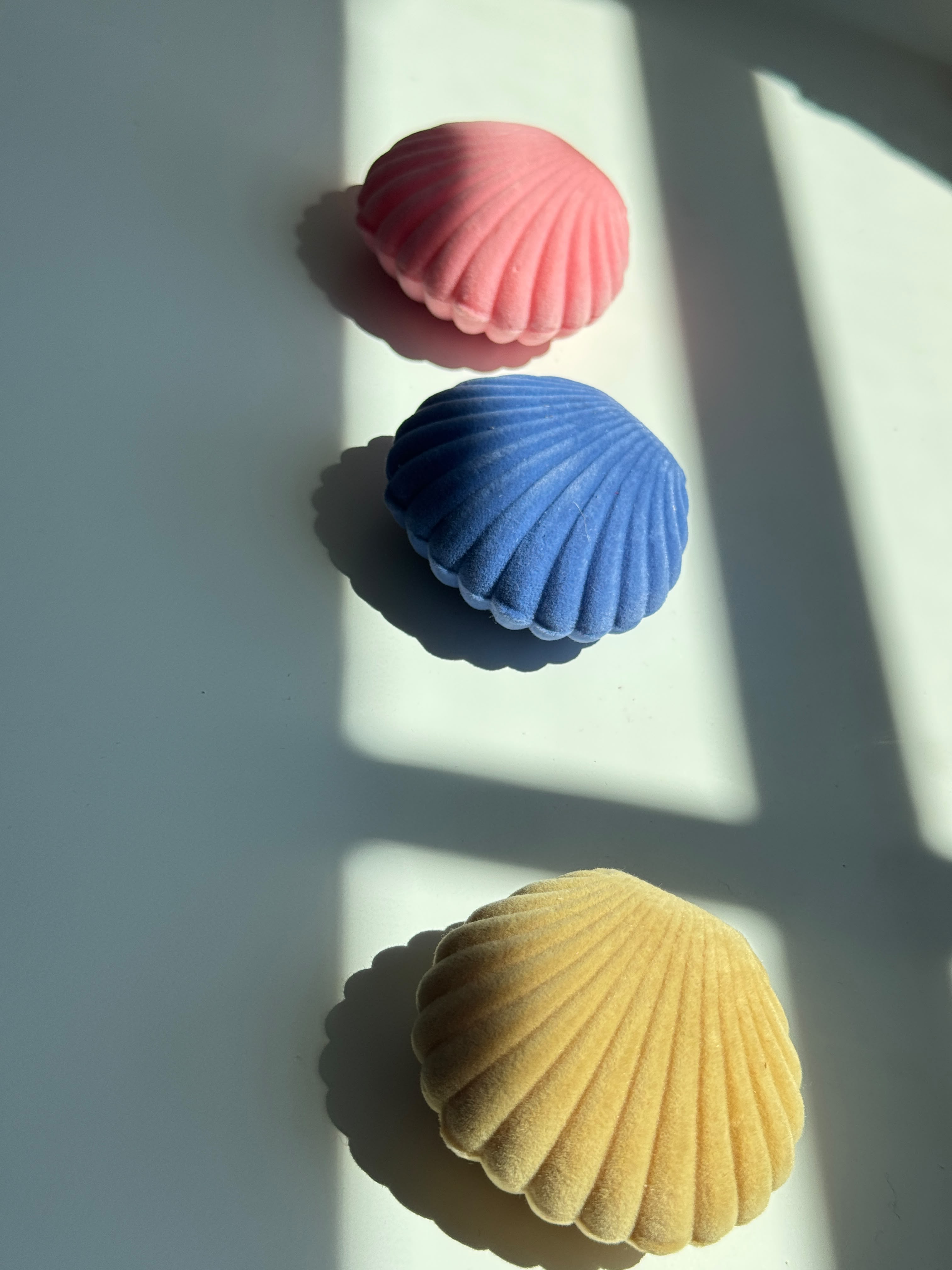 Seashell velvet Jewelry Box