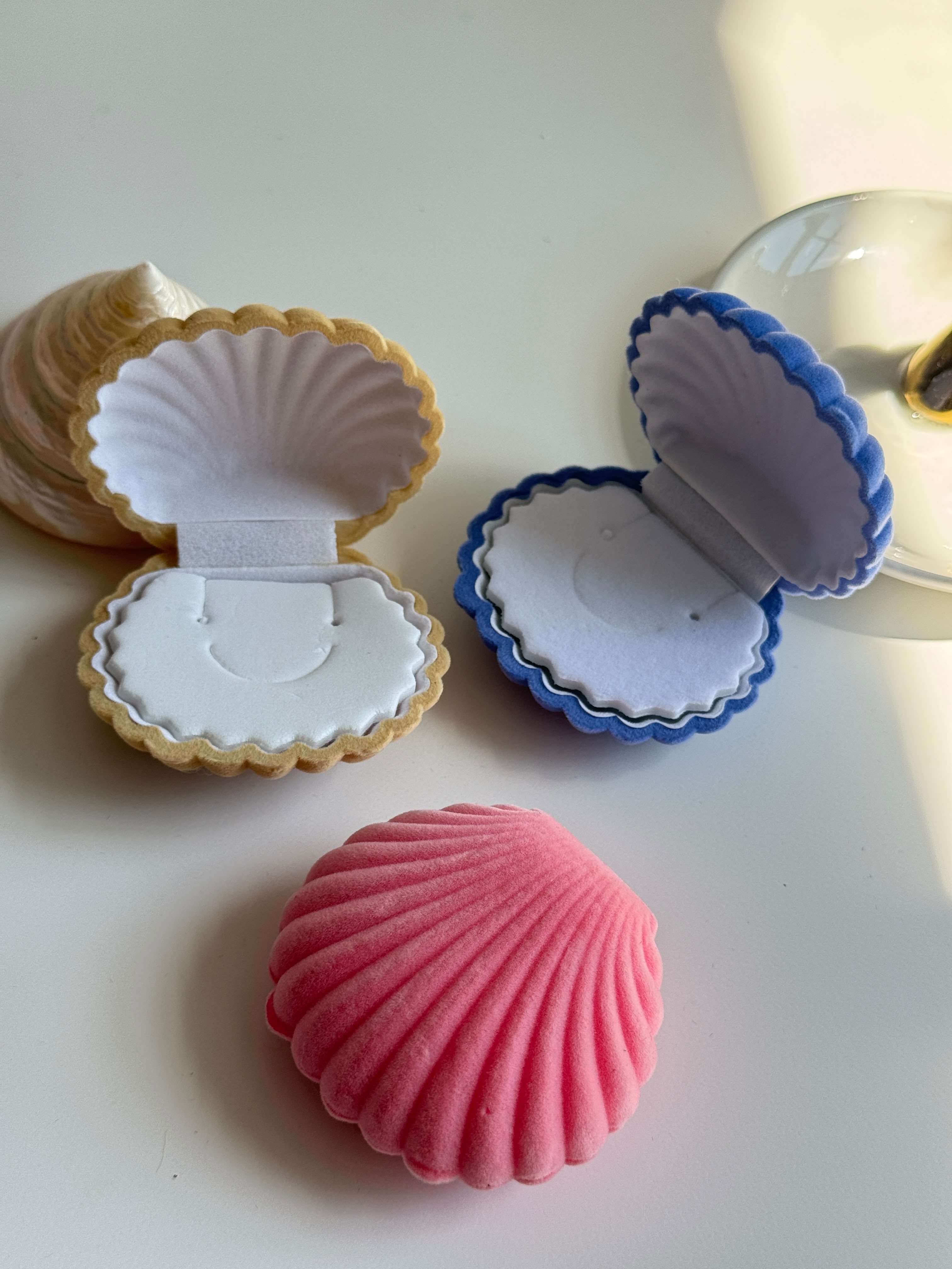 Seashell velvet Jewelry Box