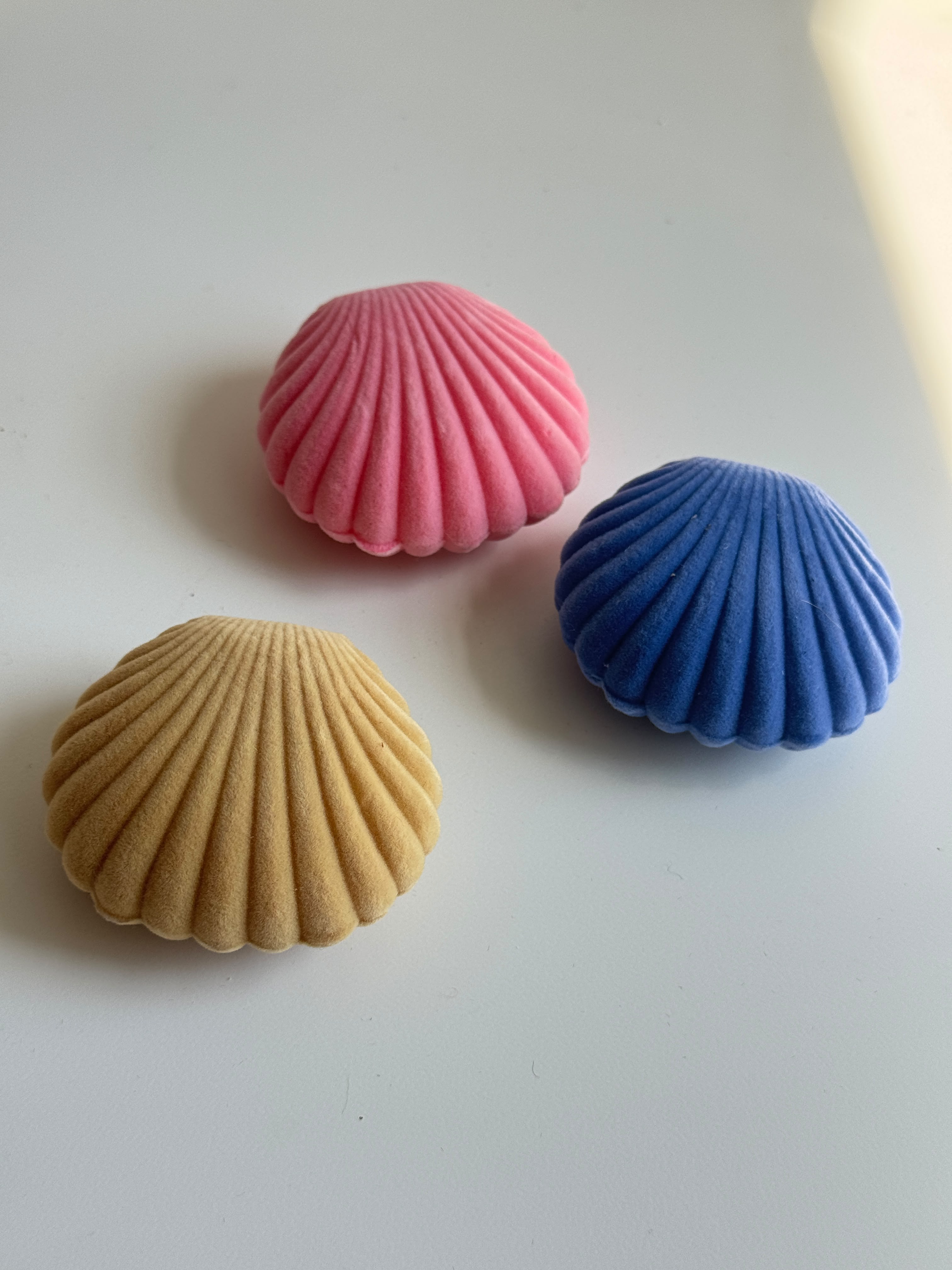 Seashell velvet Jewelry Box