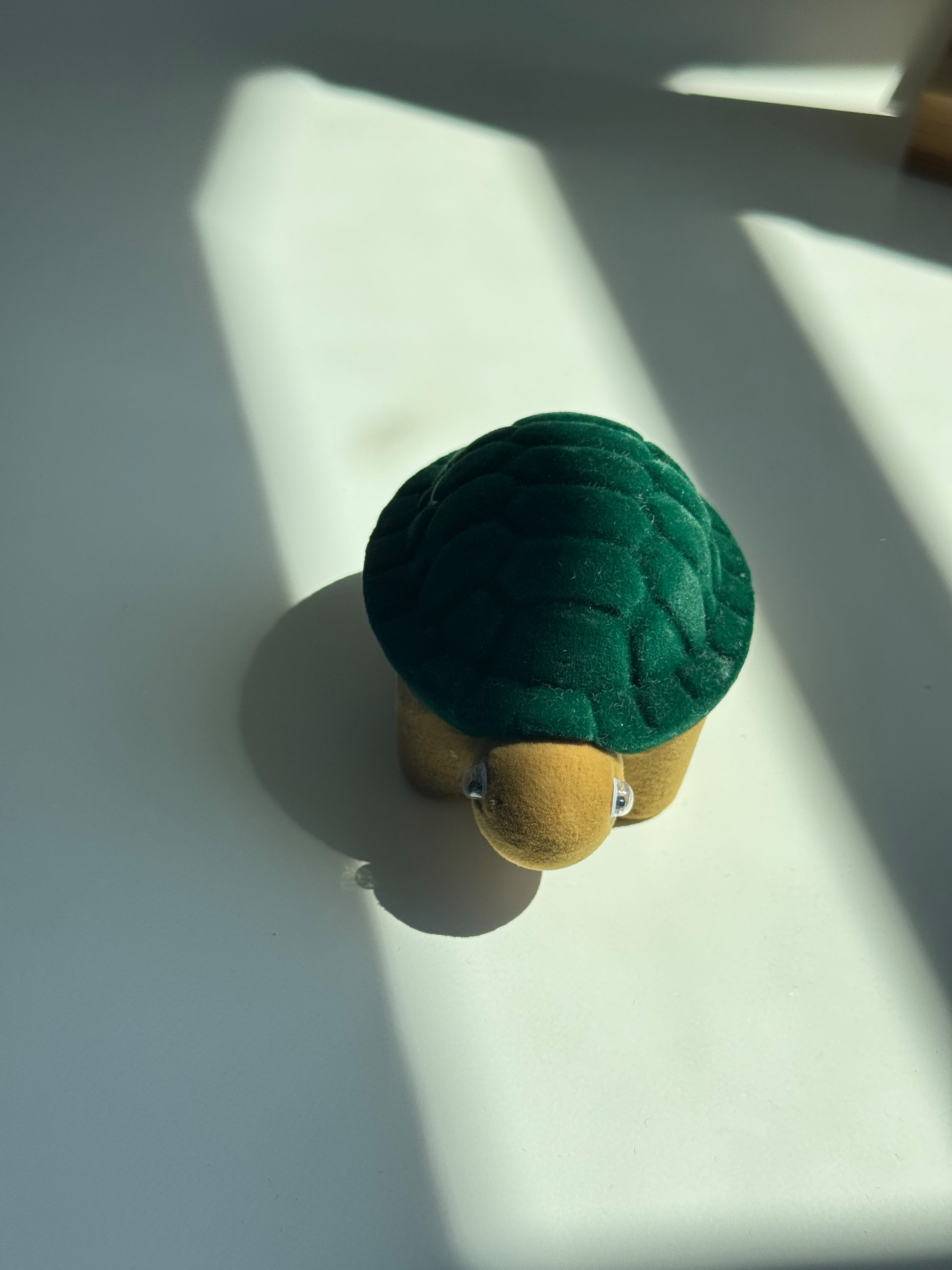 Velvet Turtle Jewelry Box